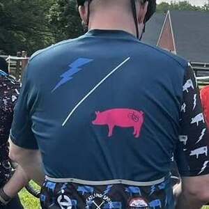 VELOPIGS